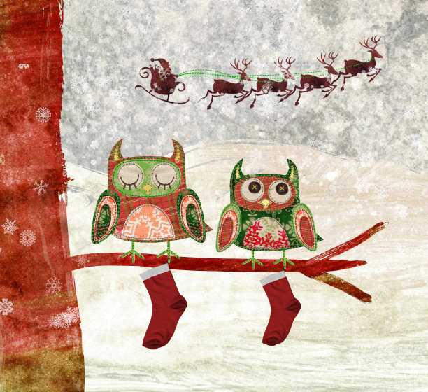 等待圣诞老人的圣诞猫头鹰图片下载