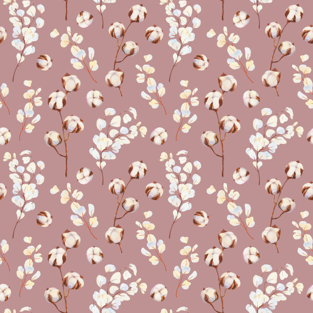 田野药草，手绘水彩干白色桉树树枝和棉花插图。植物标本室，植物元素设计。图片下载