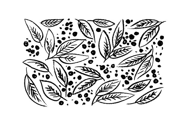 用铅笔画上浆果，种上树枝。图片下载