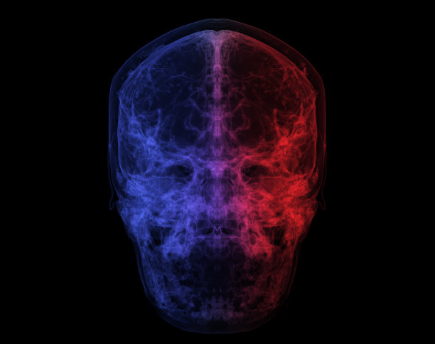 人类头骨，大脑的CT扫描。颅骨内部x射线可视化。3D插图渲染图片下载