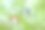 绿色背景的塑料瓶图片下载