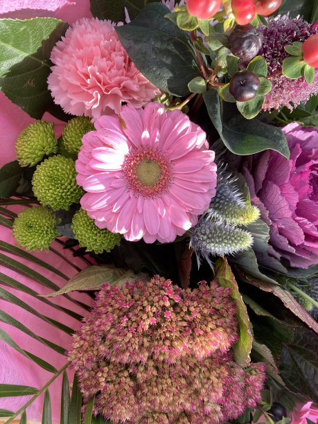 花的气味图片下载