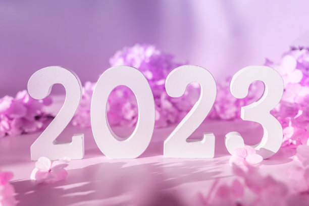 白色木数字2023在紫色的背景与花。俯视图，平铺。2023年新年快乐。图片下载
