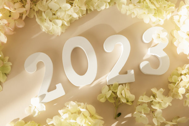 白色木号2023在柔和的米色背景与花朵。俯视图，平铺。2023年新年快乐。图片下载