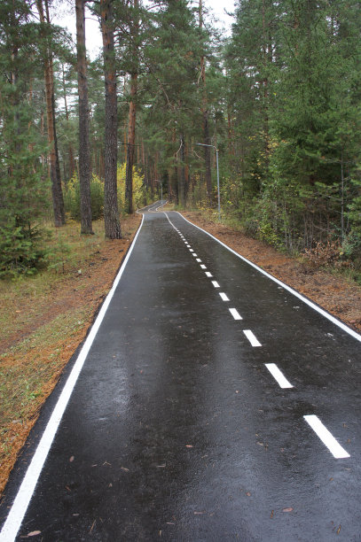 公园内的柏油路，适合运动和徒步。松林中行人和骑自行车的道路。舒适的城市环境。图片下载