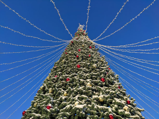 街道上一棵被白雪覆盖的圣诞树，上面装饰着彩色的球和花环图片下载