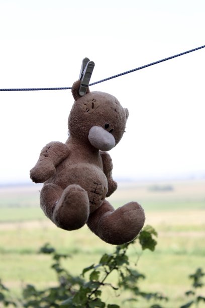 旧玩具毛绒棕熊剪在绳子上与衣夹干燥图片下载