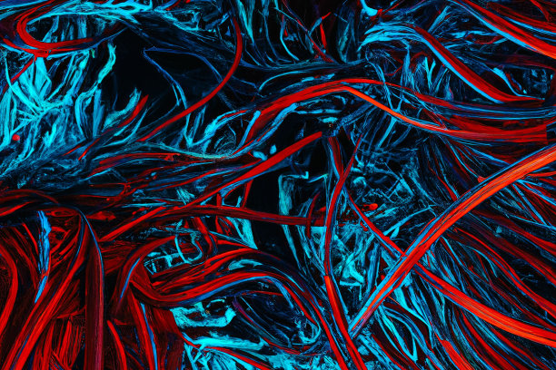 凌乱的蓝色和红色字符串的抽象插图作为背景或墙纸图片下载