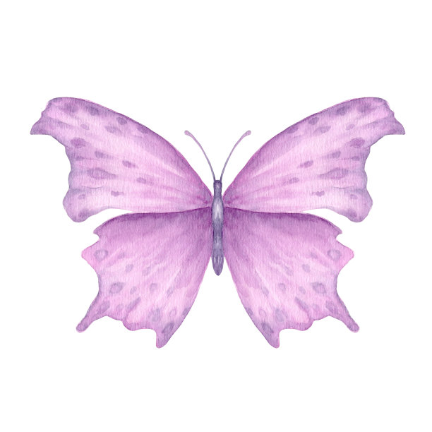 蝴蝶watercolor_8图片下载