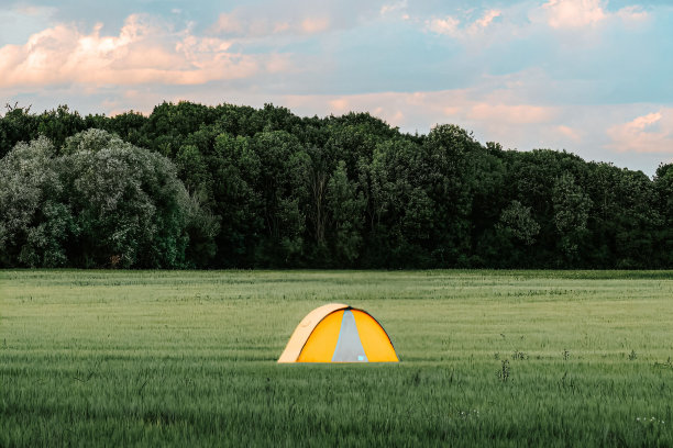 数字3D渲染的黄色露营帐篷在绿色的树木附近的乡村山谷图片下载