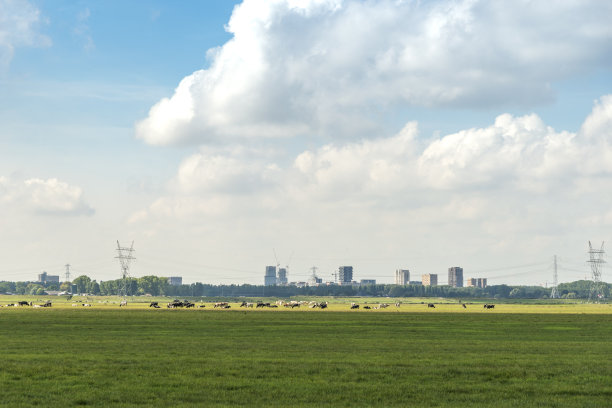 阿姆斯特丹周边环境图片下载
