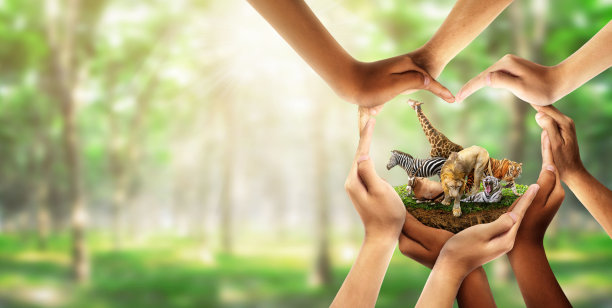 野生动物保护。保护野生动物，多种族的人类来筑成心形的手来保护环境。图片下载
