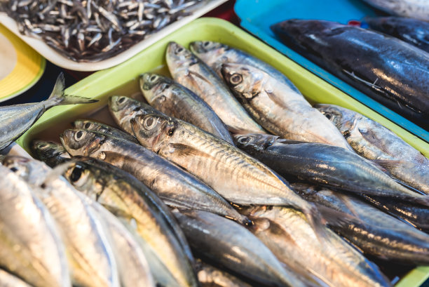 菜市场出售的鲜鱼。图片下载