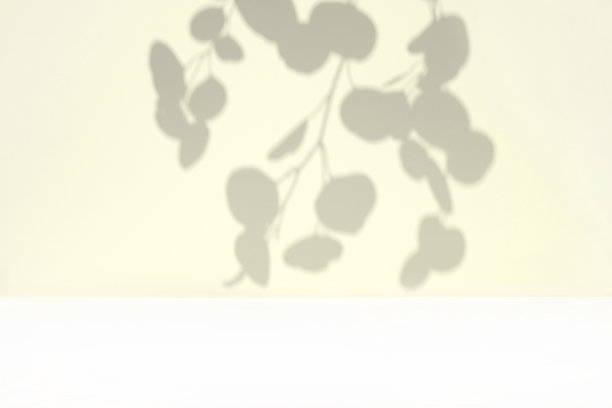 中性色的墙壁上有植物的影子。树叶的影子背景。柔和的工作室背景上的树枝、花朵和树叶。产品展示，最小的广告模型。时髦的叠加效果。图片下载