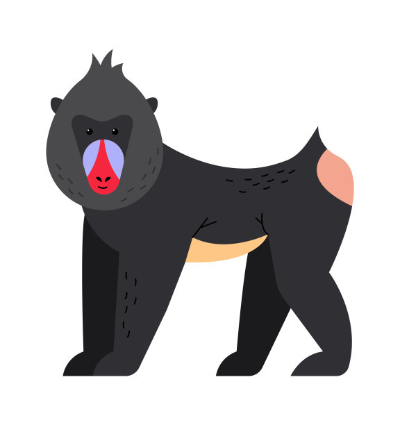 山魈猴珍奇动物。矢量图图片下载