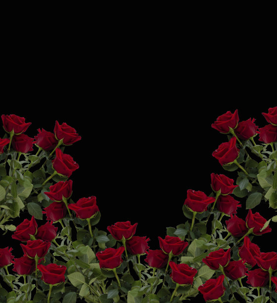 明信片，横幅，死亡邀请，葬礼，纪念图片下载