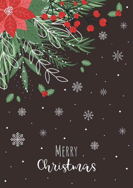 圣诞卡片上有一品红花，树枝，树叶和雪。向量图片下载