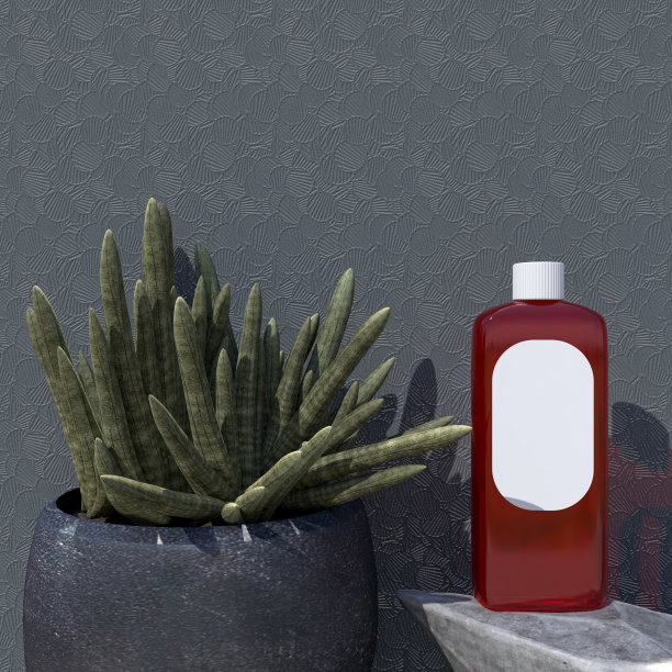 化妆品，护肤美容，包装设计模型。包装容器用于品牌设计，广告，促销。剪切路径。三维渲染图片下载