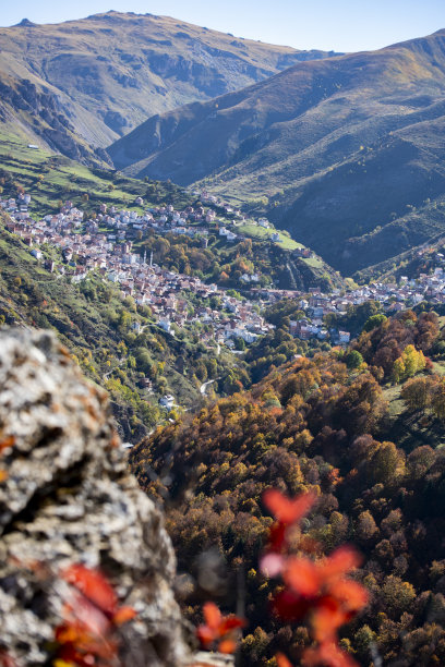 秋色的山村图片下载
