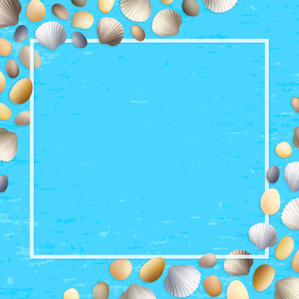 外壳框架。蓝色的枯燥乏味的背景。石头和贝壳矢量。夏天的插图。海洋或海上海报。旅行插图。热带海滩度假。图片下载
