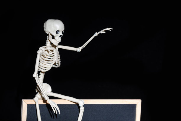 有趣的人类骨架坐在黑色背景的空黑色挂图上，复制空间，模型图片下载