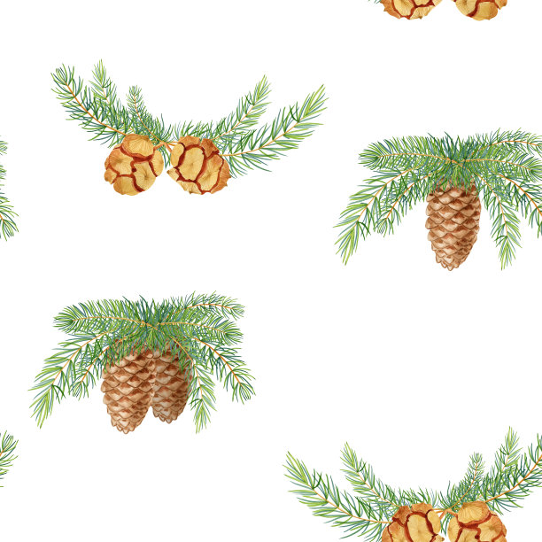 针叶树和冬青枝与球果水彩无缝图案。手绘元素的圣诞装饰生态风格。无尽的背景森林斯堪的纳维亚风格。图片下载