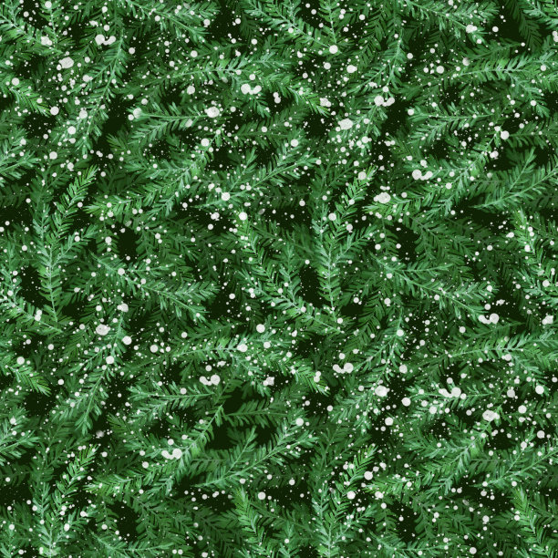水彩无缝图案与杉树树枝。绿色圣诞背景。图片下载