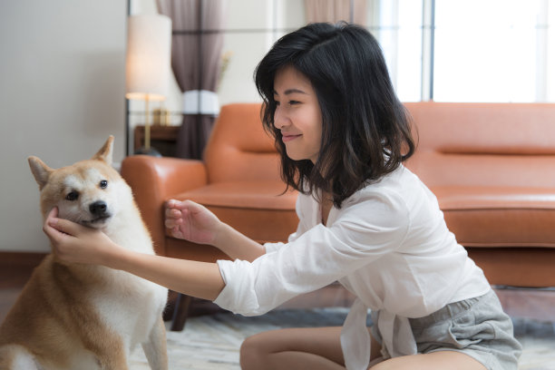 年轻的东亚妇女和她的宠物狗在客厅玩耍和互动-库存照片图片下载