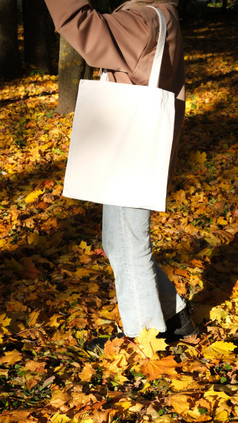 白色的购物者。时尚包模板。图片下载