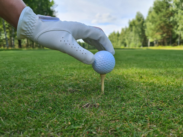 高尔夫球手把高尔夫球在一个美丽的高尔夫球场与蓝天图片下载