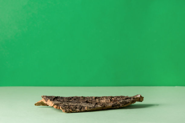 绿色背景的展示和展览的树皮树的自然看台抽象平台有机化妆品的简约风格图片下载