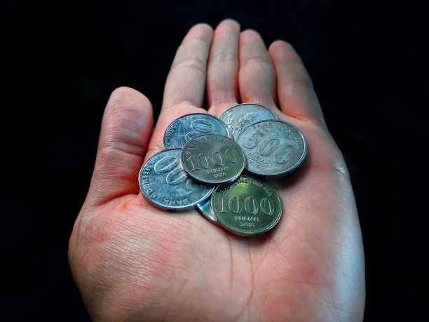 把硬币撒在手掌上图片下载