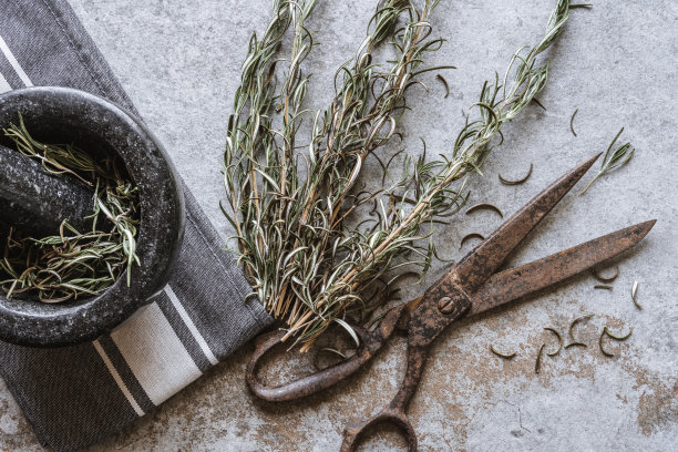 干草药迷迭香，石头香料粉碎器和乡村剪刀在灰色背景。灰色厨房内部细节。特写,平;副本的空间。图片下载