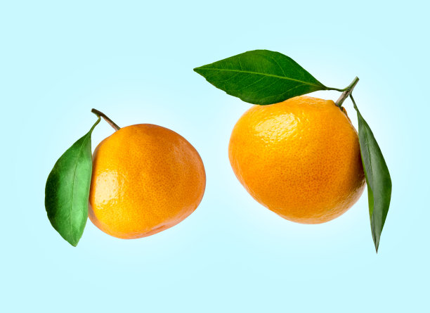 不同形状的橘子与树叶在彩色背景上隔离。有叶橘子的组成。橘子在空中飞舞图片下载