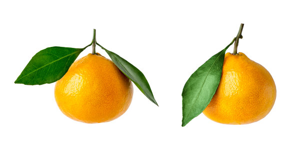 不同形状的橘子和白色背景上的叶子。有叶子的橘色图片下载
