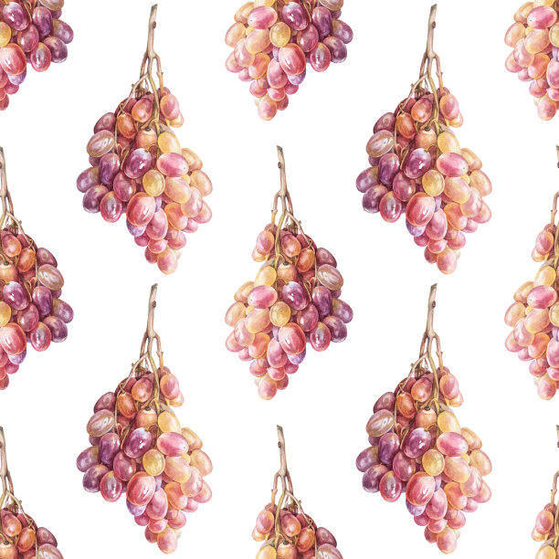 无缝图案水彩手绘粉黄葡萄在白色背景。夏秋甜食浆果。果浆果甜点。创意艺术为菜单咖啡馆，贴纸，墙纸包装速写本图片下载