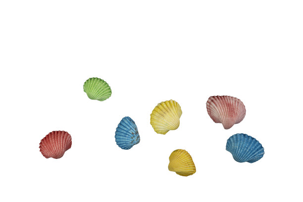 丰富多彩的sheasells图片下载