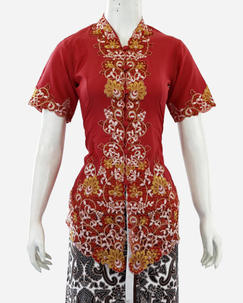 短袖和从脖子到前面的美丽织锦装饰的妇女克巴亚图片下载