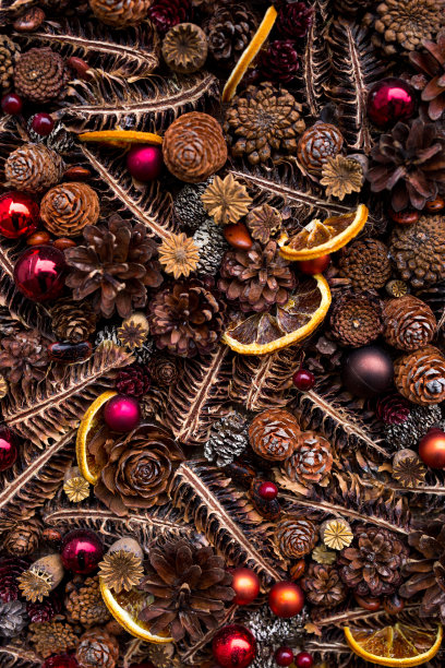 圣诞创意背景切割锥，八角星，红球。特写圣诞植物纹理。生态的概念图片下载