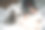 猫和笔记本。小猫看着笔记本电脑，而它的女主人和他在家里工作。图片下载