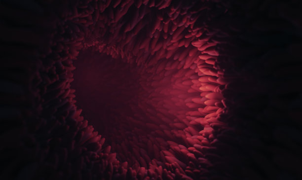 消化系统或肠道表面的微绒毛。图片下载