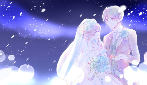 新婚的新娘和新郎在夜空中图片下载