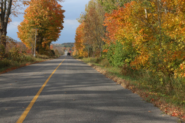 在安大略的小径上的秋天乘坐亚视图片下载