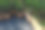 木制花坛与常绿灌木。准备在广场周围部署。园艺植物丛图片下载