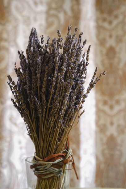 一束干薰衣草室内家居装饰图片下载