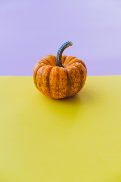 紫色和黄色背景上的橙色小南瓜图片下载