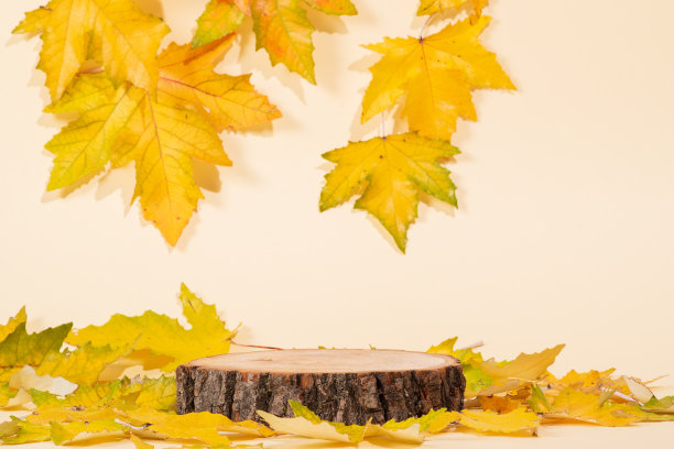 秋天的讲台由天然木材和秋天的树叶制成。图片下载