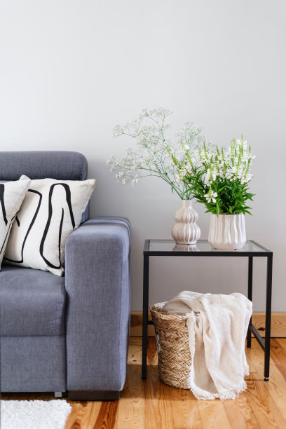 客厅有时髦的家具，有沙发和茶几图片下载