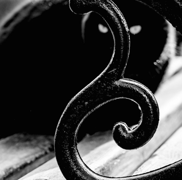 一只有着明亮眼睛的黑猫正坐在公园的长凳上图片下载