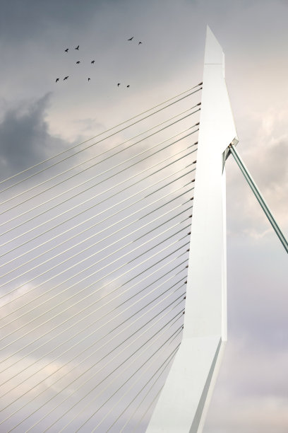 悬索桥的施工与设计与塔架的闭合图片下载